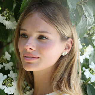 Diamond Wildflower Climber