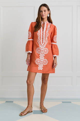 Burnt Sienna Celine Mini Dress