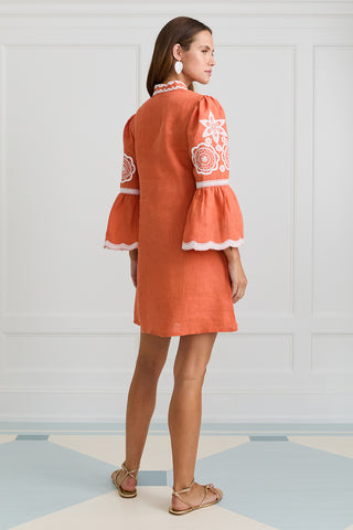 Burnt Sienna Celine Mini Dress