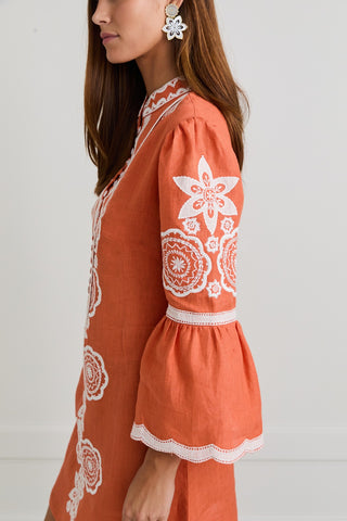 Burnt Sienna Celine Mini Dress